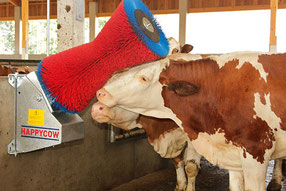 Agro-Widmer Stalleinrichtungen und Silos - Aktuell Bürste HappyCow 