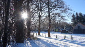 winterlicher Felsenweg Falkenstein - Grünbach, 19.01.2024