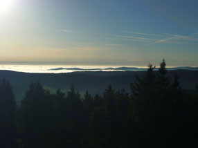 Aussicht vom Plattenbergturm, ( Blatensky Vrch) 1043 m