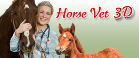 Game Banner Horse Vet 3D