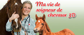 Game Banner Horse Vet 3D