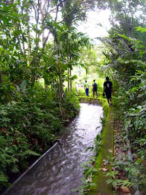 path alomgside a creek