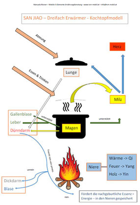 Ernährung, Metabolic Typing, Stoffwechsel, Ernährungsberatung by Harmonious Balance, 3-fach Erwärmer