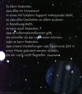 Zitat von David Bohm "Einheitliches Universum"