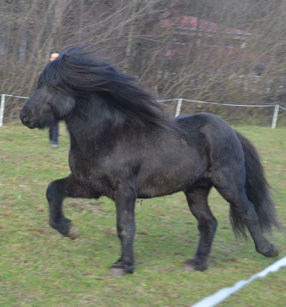 Decktaxe € 700,-