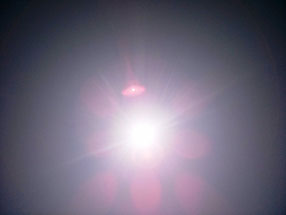 太陽がサンサンと輝きだした!暑い暑い!