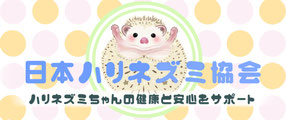 @karashima.yoshie さん バナーサイズ