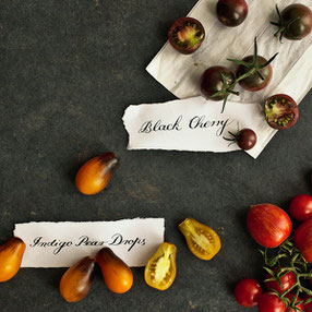 Auch bei den Tomaten habe ich neue Lieblingssorten entdeckt