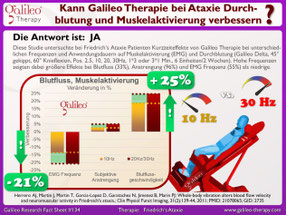 Vibrationstraining, Vibrationsplatte, Vibrationstrainer, kaufen, gebraucht, Test: www.kaiserpower.com