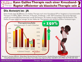 Vibrationstraining, Vibrationsplatte, Vibrationstrainer, kaufen, gebraucht, Test: www.kaiserpower.com