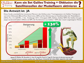 Vibrationsplatten, Vibrationstrainer, Vibrationstraining, Galileo Training, Test, kaufen, Preise, Vergleiche: www.kaiserpower.com