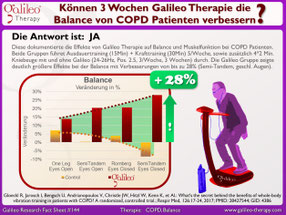 Vibrationstraining, Vibrationsplatte, Vibrationstrainer, kaufen, gebraucht, Test: www.kaiserpower.com