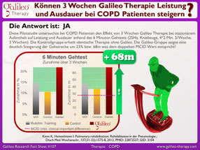 Vibrationstraining, Vibrationsplatte, Vibrationstrainer, kaufen, gebraucht, Test: www.kaiserpower.com