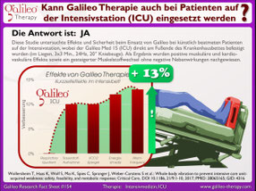 Vibrationstraining, Vibrationsplatte, Vibrationstrainer, kaufen, gebraucht, Test: www.kaiserpower.com