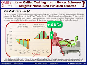 Vibrationsplatten, Test, Vergleiche, Studien, Vibrationstraining, Galileo Training, Preise, kaufen, Vibrationstrainer: www.kaiserpower.com