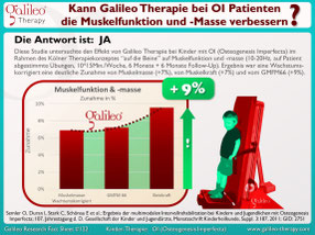 Vibrationstraining, Vibrationsplatte, Vibrationstrainer, kaufen, gebraucht, Test: www.kaiserpower.com