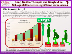 Vibrationstraining, Vibrationsplatte, Vibrationstrainer, kaufen, gebraucht, Test: www.kaiserpower.com