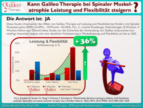 Vibrationstraining, Vibrationsplatte, Vibrationstrainer, kaufen, gebraucht, Test: www.kaiserpower.com