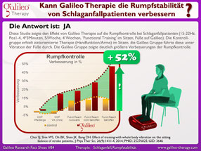 Vibrationstraining, Vibrationsplatte, Vibrationstrainer, kaufen, gebraucht, Test: www.kaiserpower.com