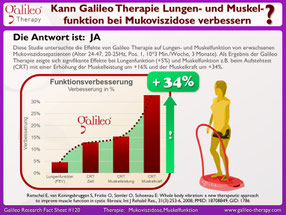 Vibrationstraining, Vibrationsplatte, Vibrationstrainer, kaufen, gebraucht, Test: www.kaiserpower.com