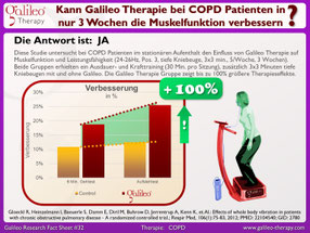 Vibrationstraining, Vibrationsplatte, Vibrationstrainer, kaufen, gebraucht, Test: www.kaiserpower.com