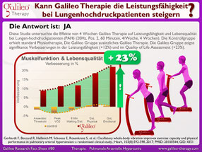 Vibrationstraining, Vibrationsplatte, Vibrationstrainer, kaufen, gebraucht, Test: www.kaiserpower.com