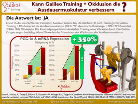 Vibrationsplatten, Test, Vergleiche, Studien, Vibrationstraining, Galileo Training, Preise, kaufen, Vibrationstrainer: www.kaiserpower.com