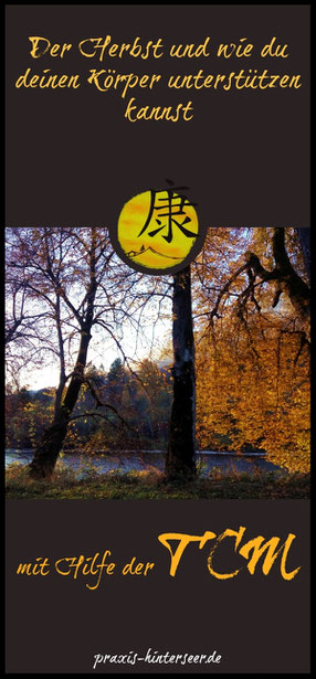 Der Herbst und wie du deinen Köper in dieser Jahreszeit unterstützen kannst mit Hilfe der TCM