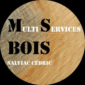 Cédric Salviac, sculpteur, tourneur sur bois, ébéniste