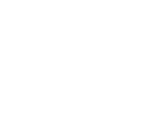 EquiSanum - Pferdetherapie