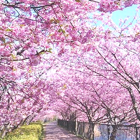 2018年3月のご挨拶