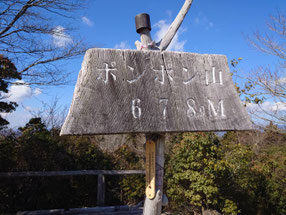 福寿草　京都　ポンポン山　釈迦岳　幸せを招く　花言葉　2026年