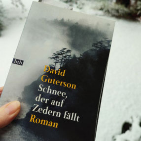 David Guterson: Schnee, der auf Zedern fällt