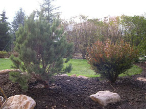 Rénovation de jardin de ville