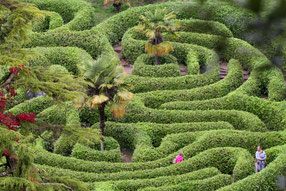 Irrgarten von Glendurgan ©My own Travel
