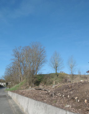 Bank auf dem kahlen Berg