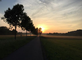 Hier kann der Landwirt, weil keine Hecke stört, millimetergenau bis zum Weg ernten