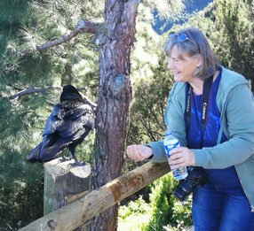 eine-frau-gibt-einem-raben-im-kiefernwald-aus-der-hand-wasser-zu-trinken