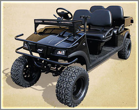 An off-road electric cart like this would help to make Distant Hill Gardens more accessible to everyone.