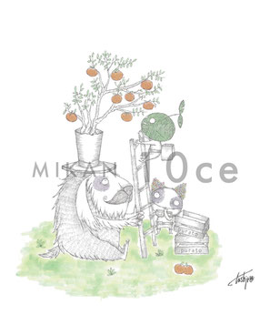 MIKAN10ce　miyagawa