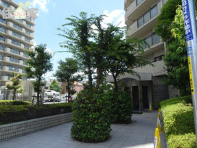 ライオンズマンション八戸ノ里,東大阪中古物件,東大阪中古マンション,東大阪,スーモ,ホームズ,suumo,homes,リノベーション,リフォーム,住家,すみか,sumika