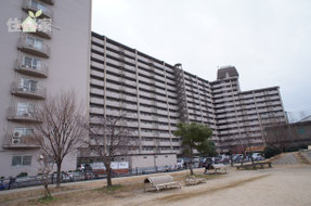 シャトー八戸の里,シャトー八戸ノ里,近鉄八戸ノ里,東大阪,中古マンション,スーモ,ホームズ,suumo,homes,リノベーション,リフォーム,住家,すみか,sumika