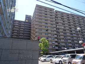 シャトー第二八戸の里,シャトー第二八戸ノ里,シャトー第2八戸の里,シャトー第2八戸ノ里,近鉄八戸ノ里,東大阪,中古マンション,スーモ,ホームズ,suumo,homes,リノベーション,リフォーム,住家,すみか,sumika