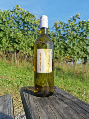 Eine Weinflasche Riesling x Silvaner steht auf einem hölzernen Balken vor den Reben