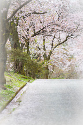 「花影」