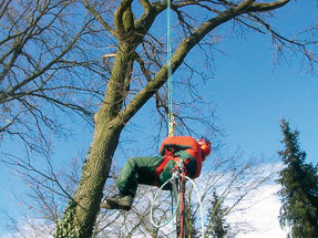 Aufstieg mit Seilklettertechnik