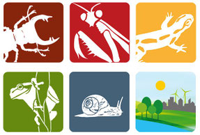 Screenshot der Meldeseite