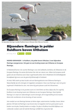 www.ommelander.info 12-08-2025