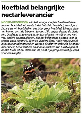 Ommelander Courant 19-03-2026