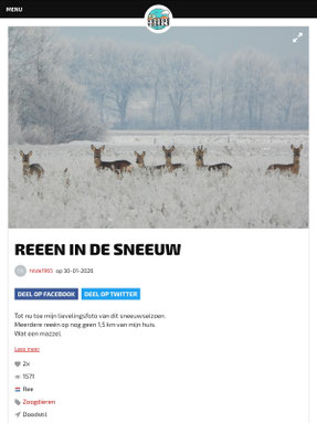 Vroege vogels Mooiste foto's 02-02-2026